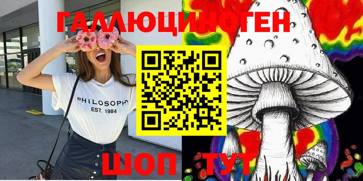 цена наркотик  Вход с VPN  Заинск  Псилоцибиновые грибы Psilocybe 